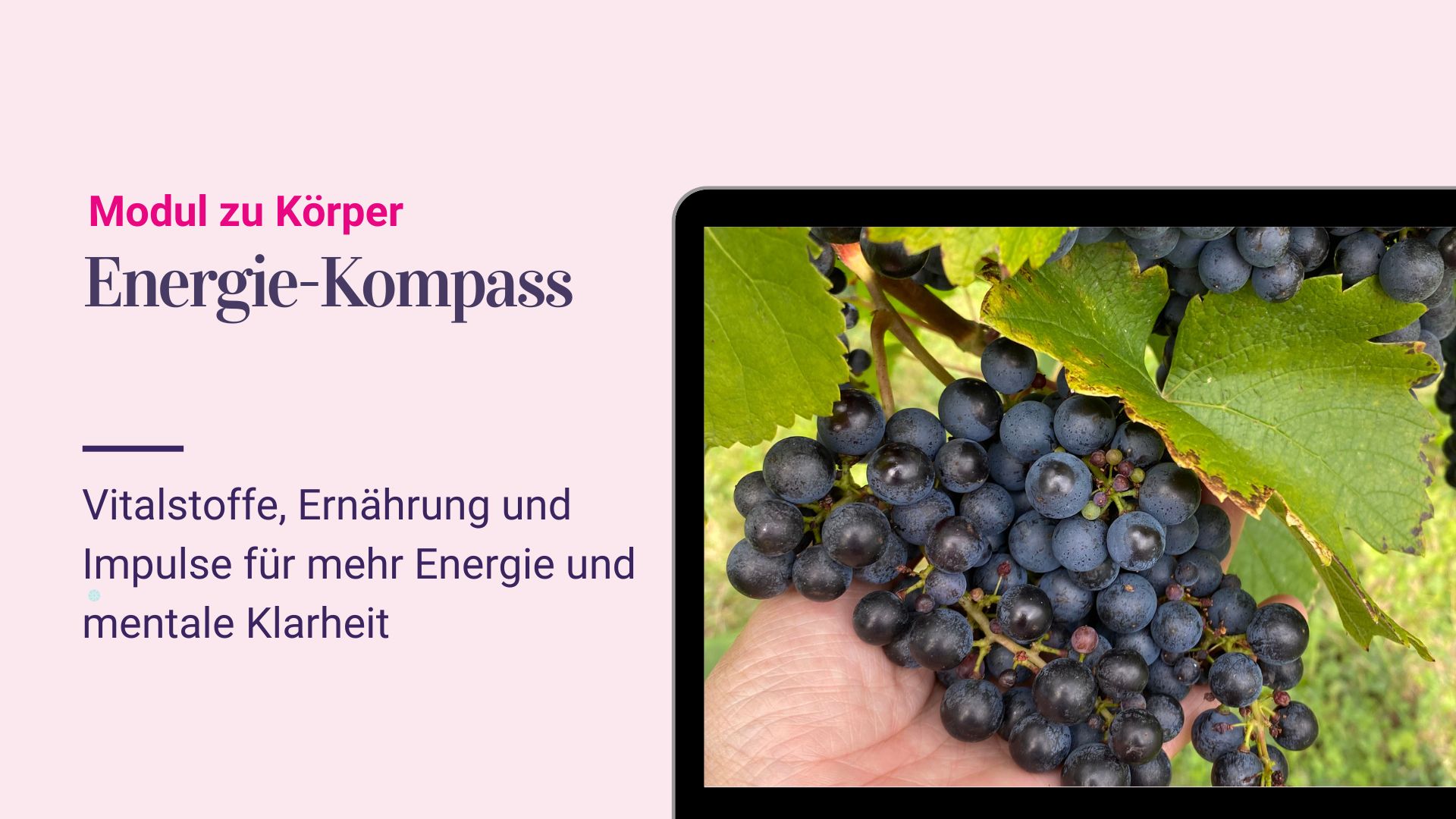 Energie-Kompass